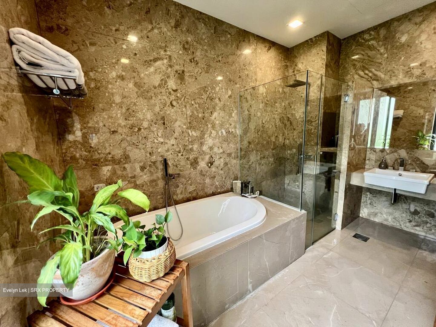 Raffles Park (D11), Detached #584949131